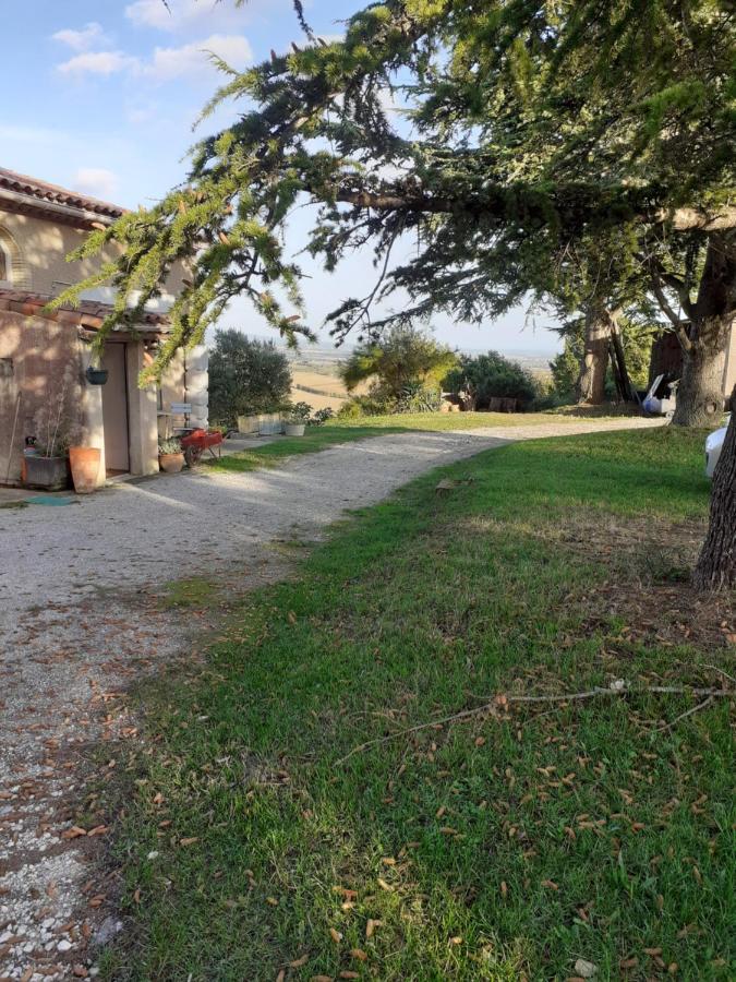 Hostal La Bleuette Montmaur  Exterior foto